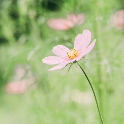 两部门印发通知 做好节假日期间新能源汽车充电保障