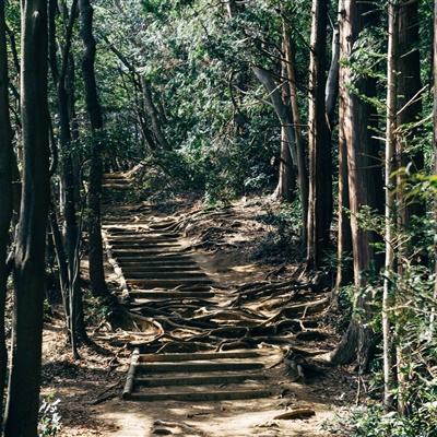 香港国际机场中跑道完成试飞 三跑道将于年底全面运作