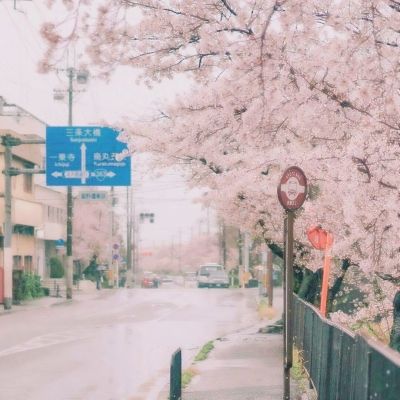 热烈祝贺【武太太】，江苏省盐城市李总正式签约门店！