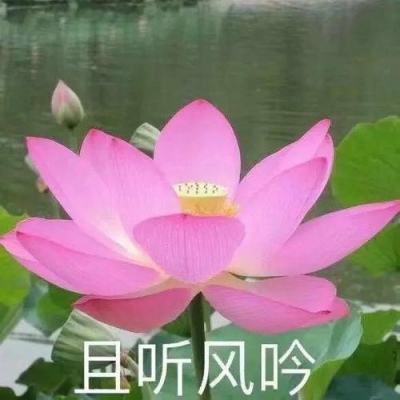 黑龙江省人大常委会原党组成员、副主任李显刚严重违纪违法被“双开”