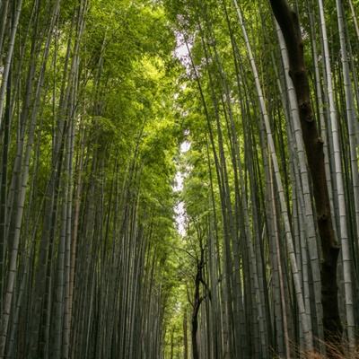 足彩彩果：14场打出10场首赔 曼城巴萨皆冷门